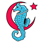 creatures boutique