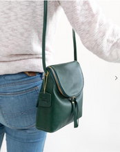 Load image into Gallery viewer, Emery Small  Crossbody
